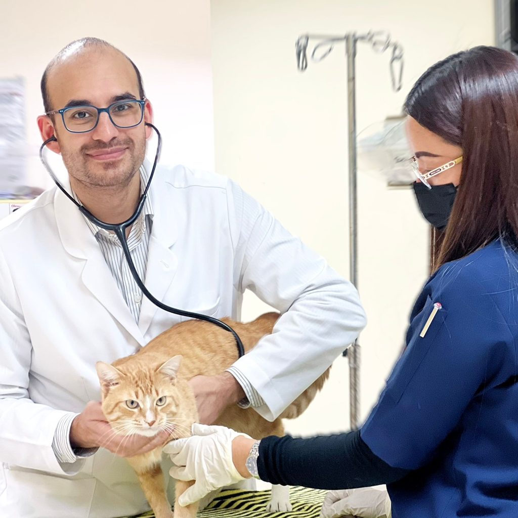 Doha Veterinary Center: Trusted Pet Care in Doha