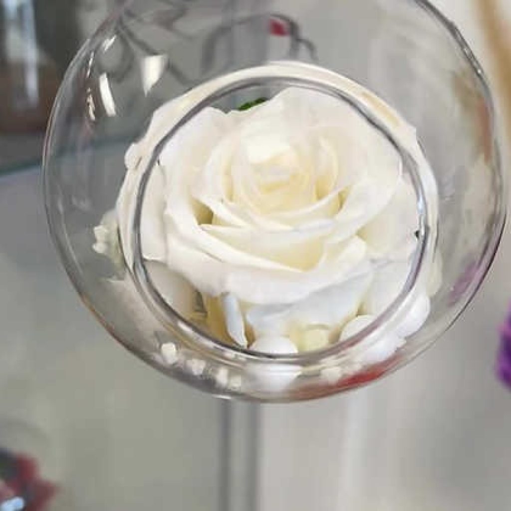 Holiday Gifts with Forever Roses: Timeless Beauty for Loved Ones