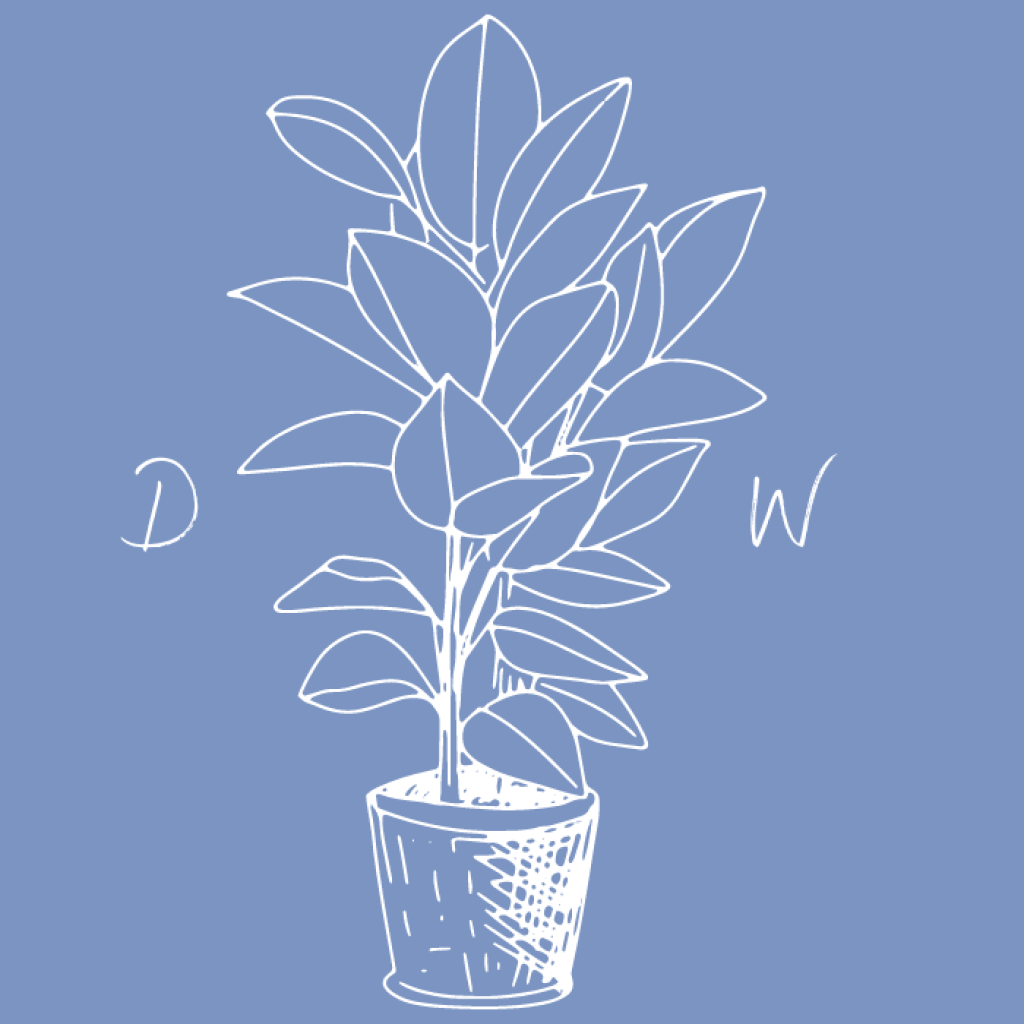 Cape Town Therapist: Find Your Path to Wellbeing Cape Town Therapist: Find Your Path to Wellbeing