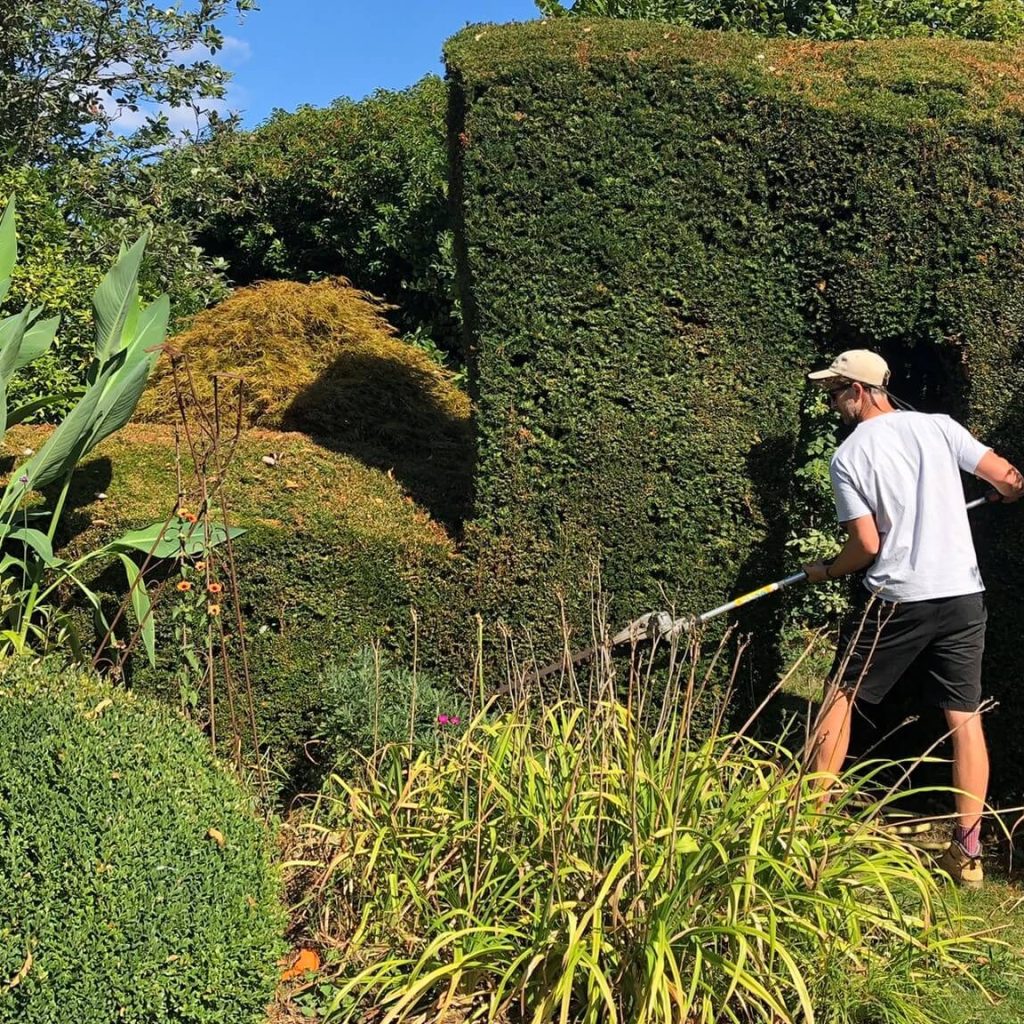 Hedge Trimming Haywards Heath — Precise, Local Hedge Care Hedge Trimming Haywards Heath — Precise, Local Hedge Care