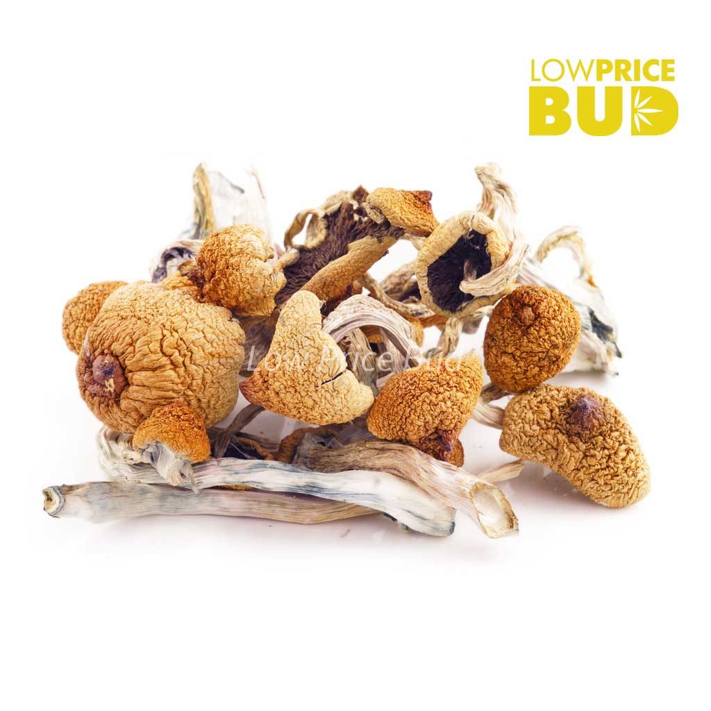 Trenbolone Acetate 100mg Injection — Quick Classified Listing Trenbolone Acetate 100mg Injection — Quick Classified Listing