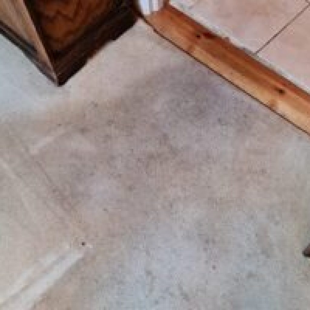 Carpet Cleaner in Sandyford — fast, reliable local service Carpet Cleaner in Sandyford — fast, reliable local service