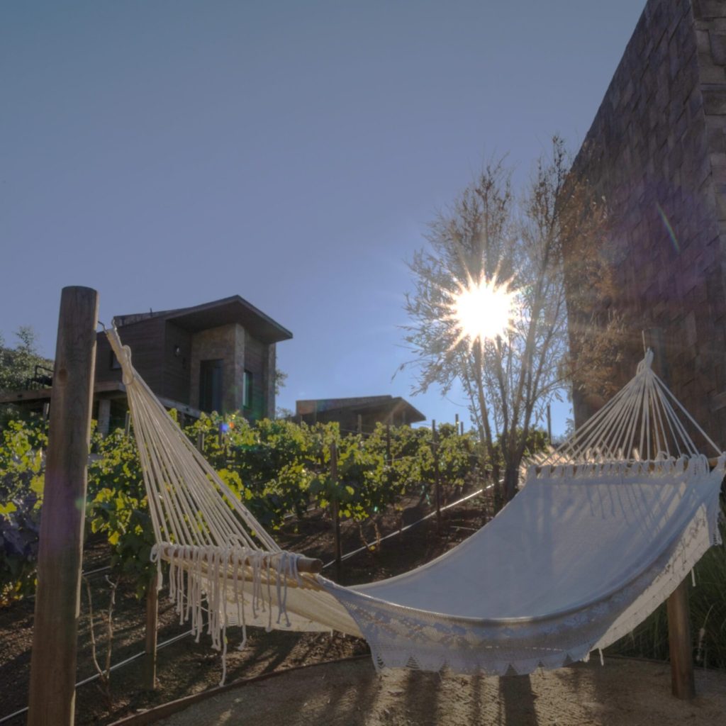 Indulge in a grand Valle de Guadalupe retreat with exclusive suite comfort