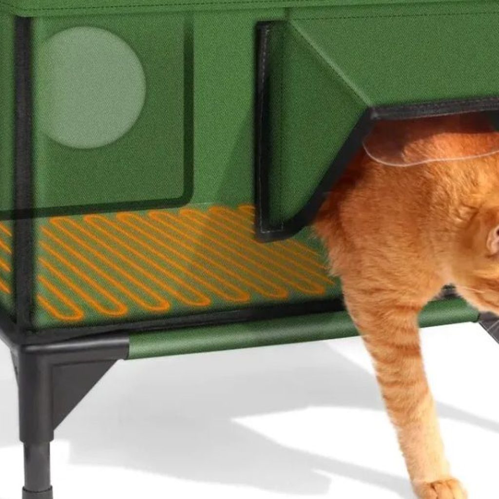 Nourishing Options for Your Golden Retriever Puppy Nourishing Options for Your Golden Retriever Puppy