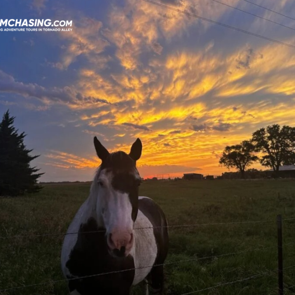 Mastering Weather Chasing: Insights from Seasoned Storm Spotters