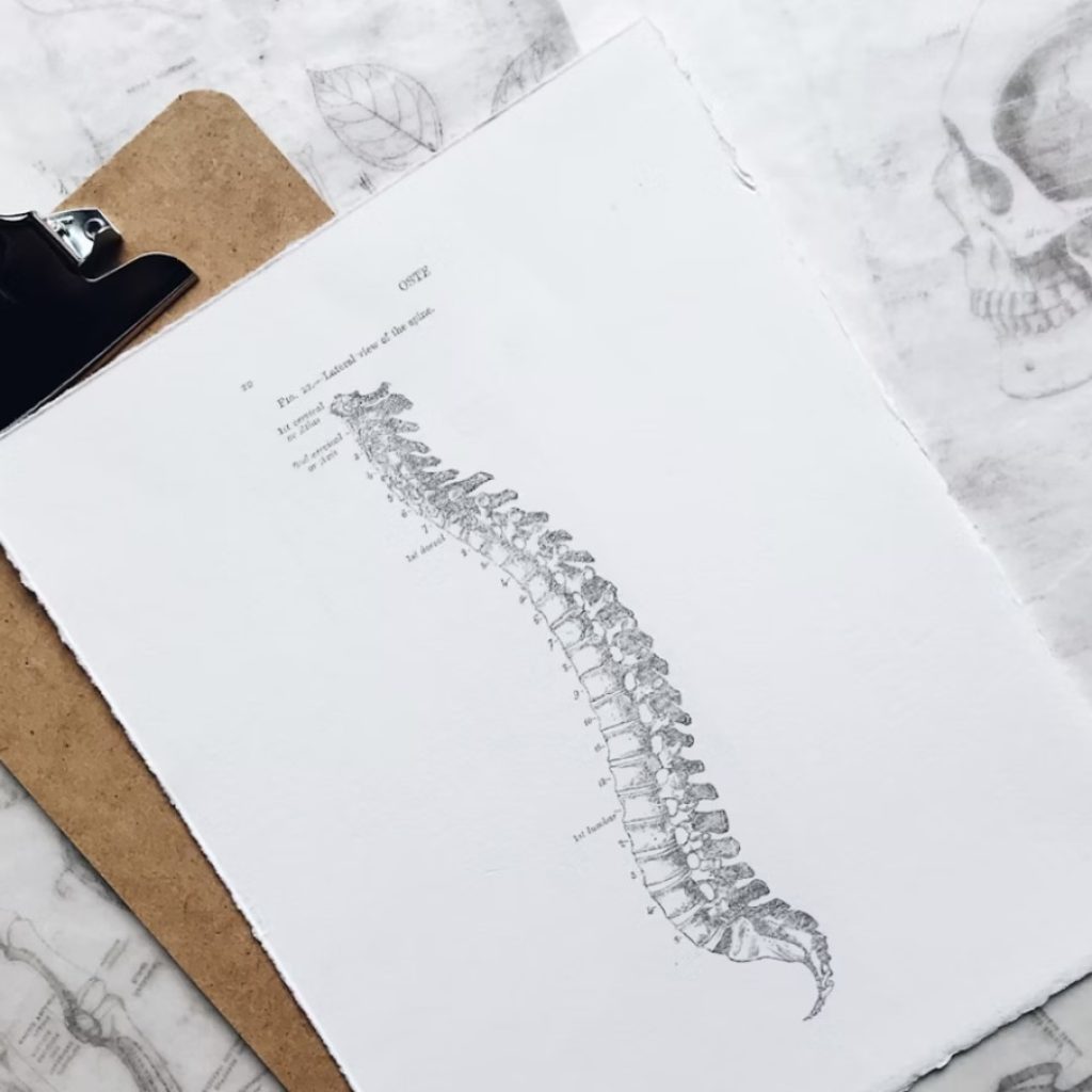 Restore Mobility: Expert Physiotherapy After Vehicle Collisions in Langley Restore Mobility: Expert Physiotherapy After Vehicle Collisions in Langley