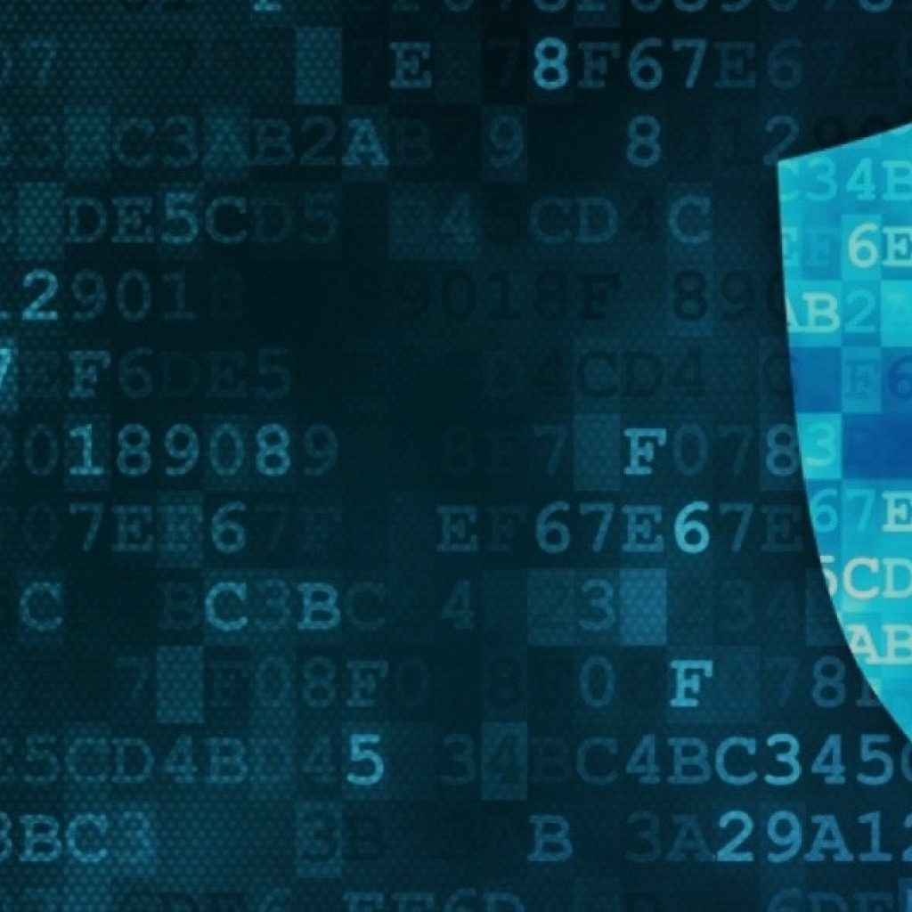Comprehensive Audit Support for Your Business with ProBiz Setup