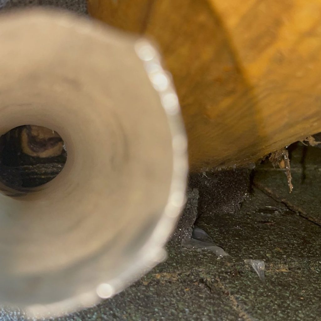Effective pest control services for Wantage residents