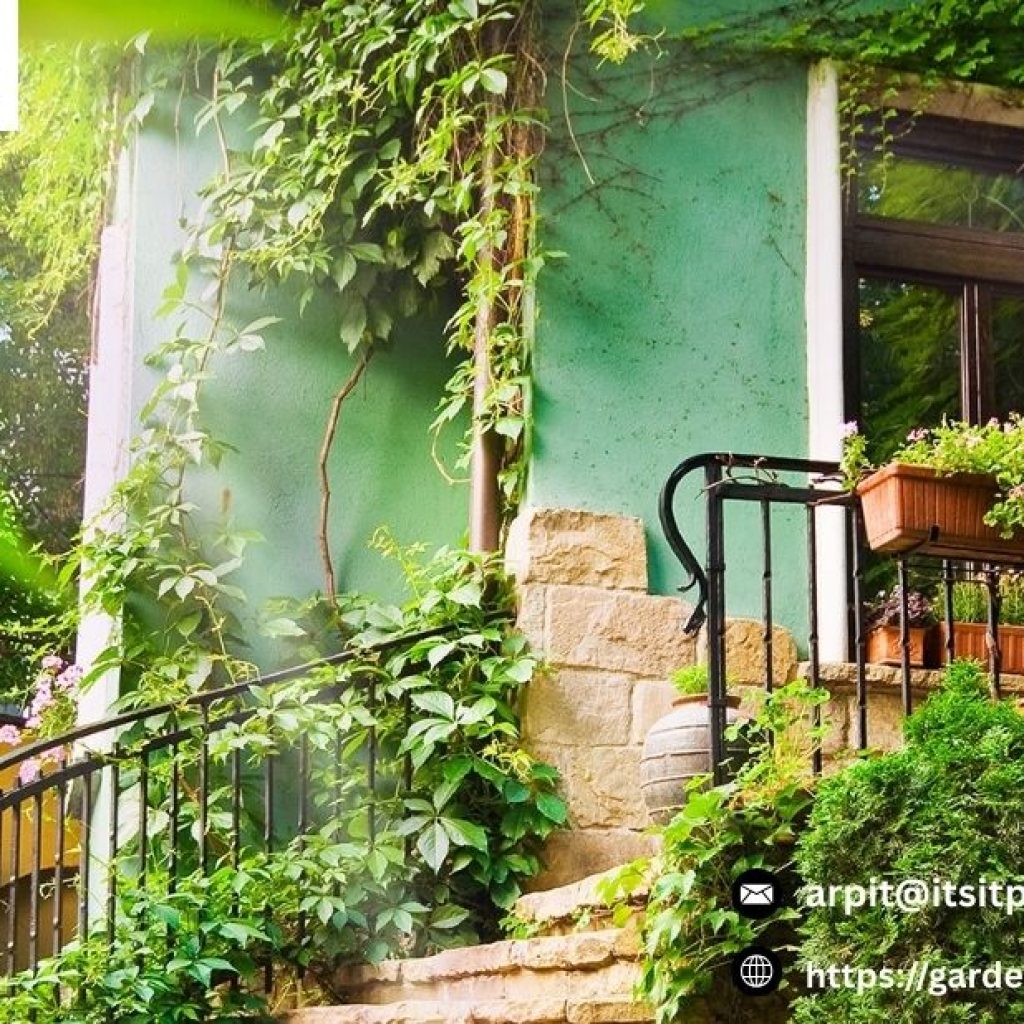 Commercial Landscaping Services | Gardenvisions.co.nz
