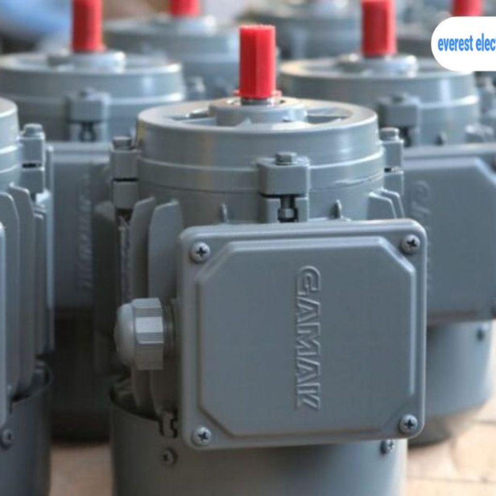 High-Quality Electric Gear Motors for Industrial Use