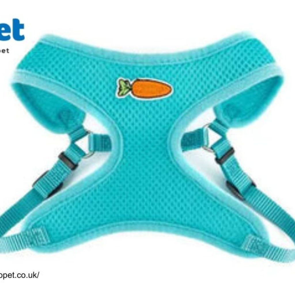 Elkwood Antler Dog Chew | Yopet.co.uk