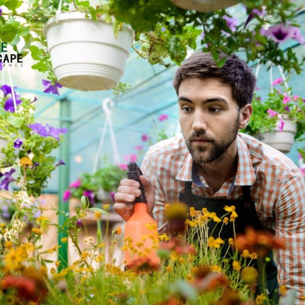 Budget-Friendly Garden Care for Your Sydney Outdoors Budget-Friendly Garden Care for Your Sydney Outdoors