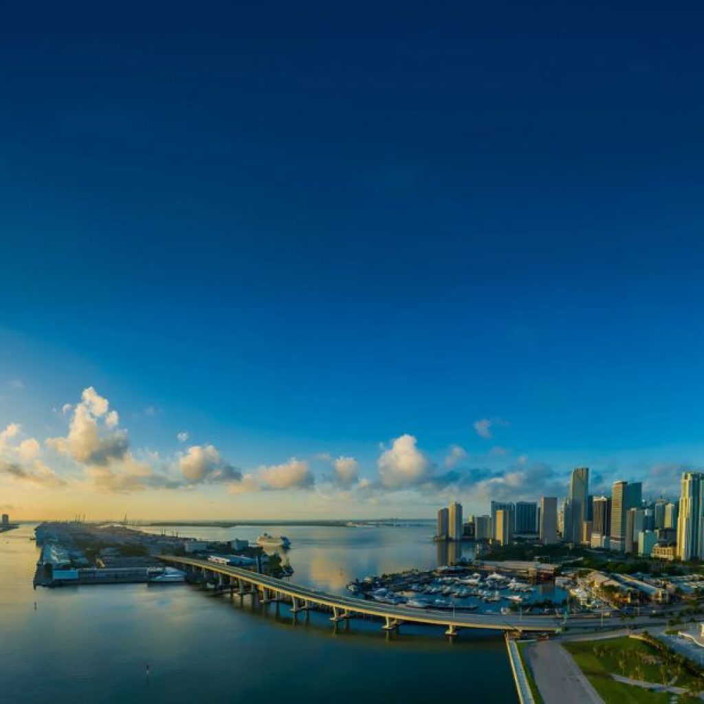 Smart Guidance for Florida Business Law Needs