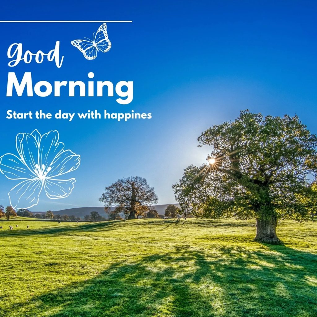 Breathe Easier: Comprehensive Lung Care in Winnipeg