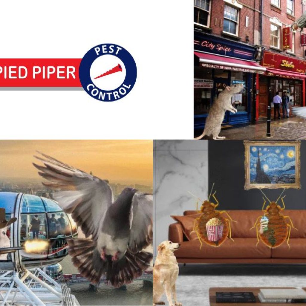 Expert Pest Management for London Borough of Tower Hamlets Properties Expert Pest Management for London Borough of Tower Hamlets Properties