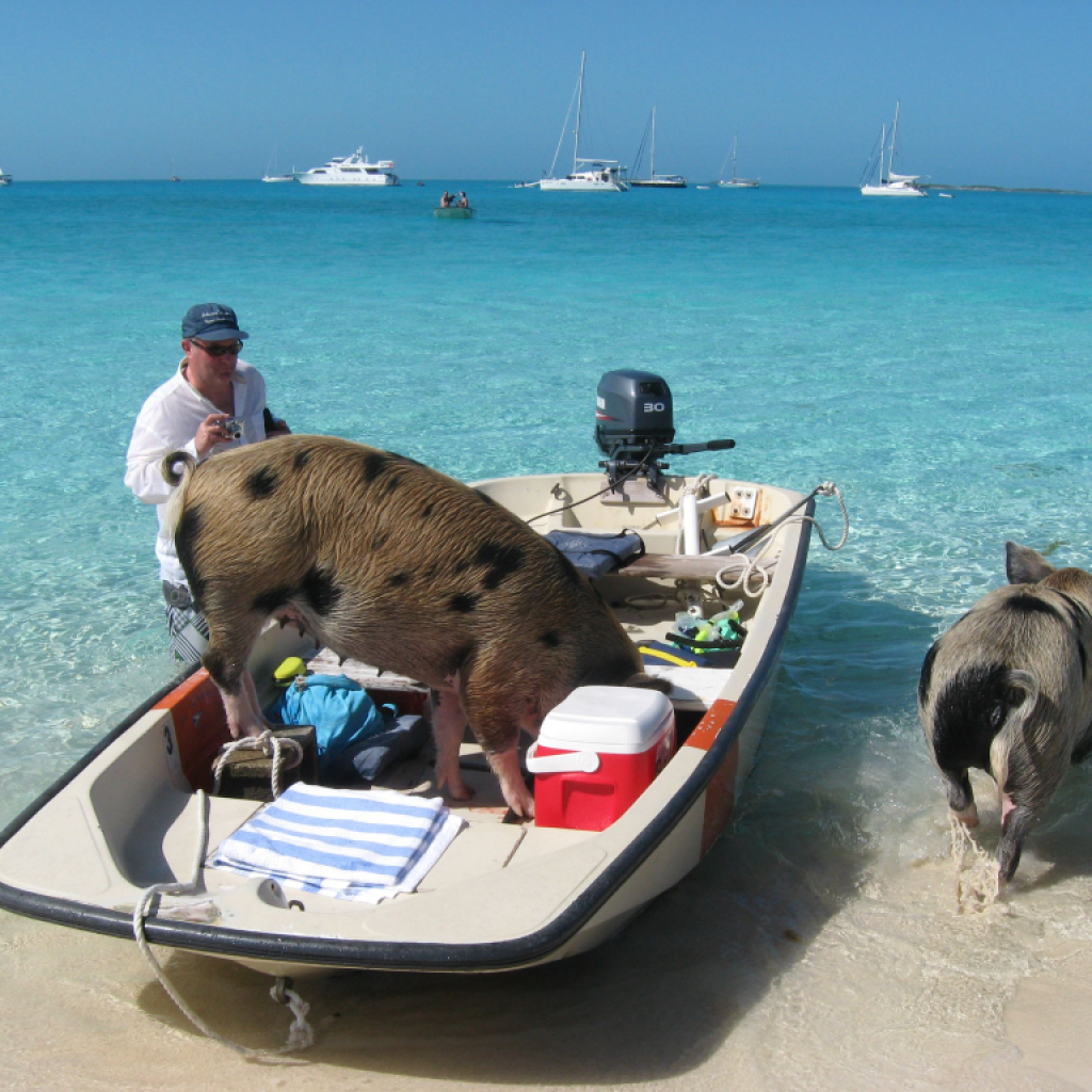 Exclusive Nassau Boat Excursions: Private Charters & Snorkel Trips