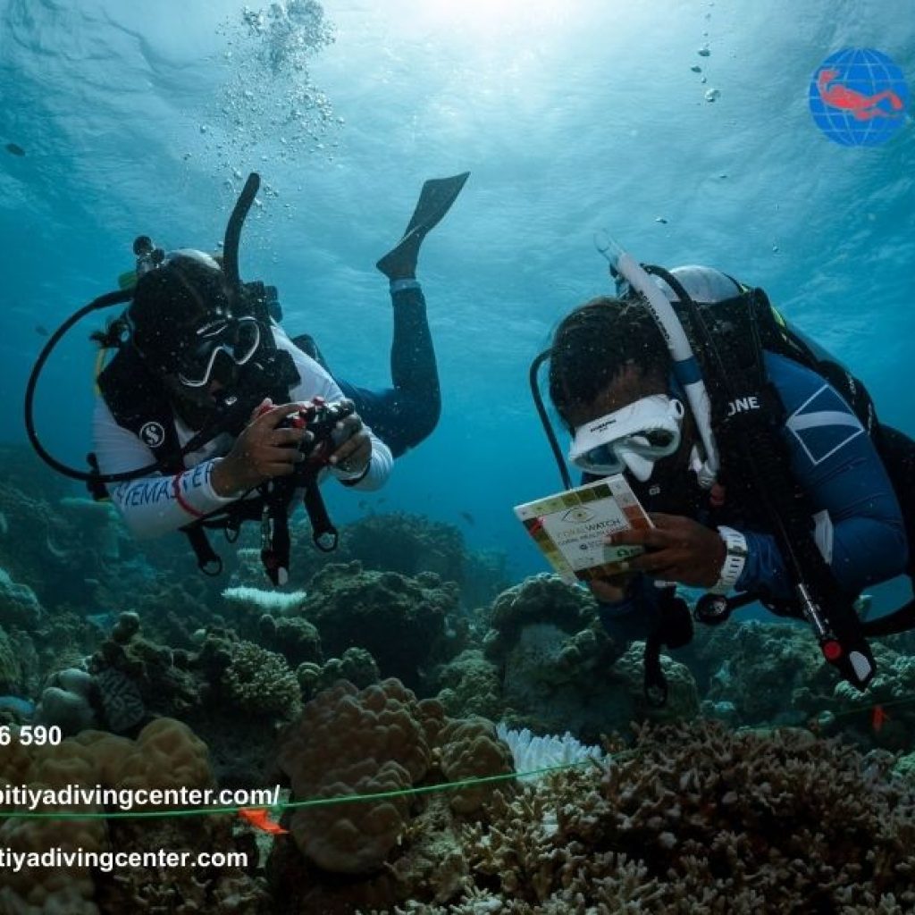 Fundivingsrilanka | Kalpitiyadivingcenter.com