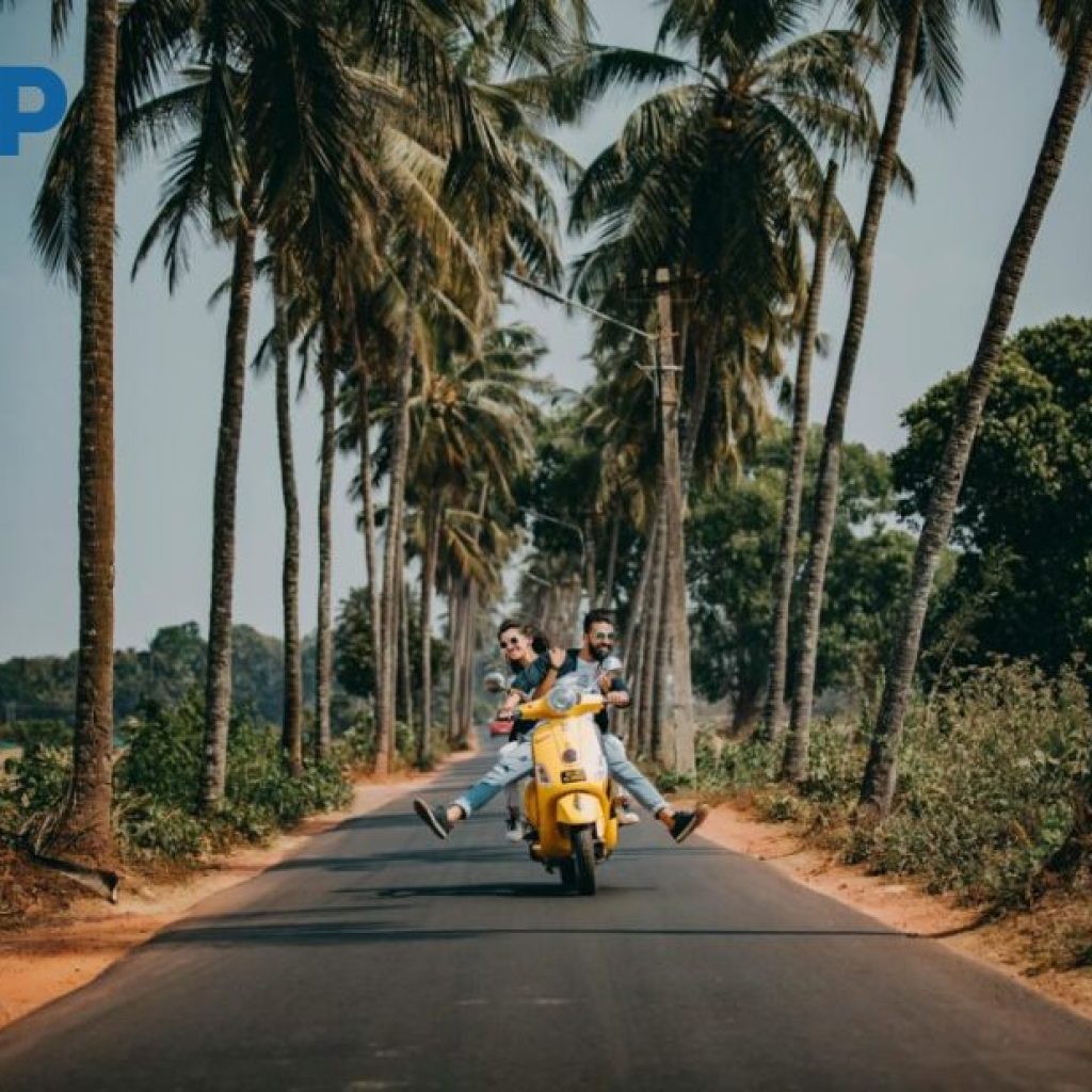 How to Obtain Your Driving Permit Online in Australia (UK Guide) How to Obtain Your Driving Permit Online in Australia (UK Guide)