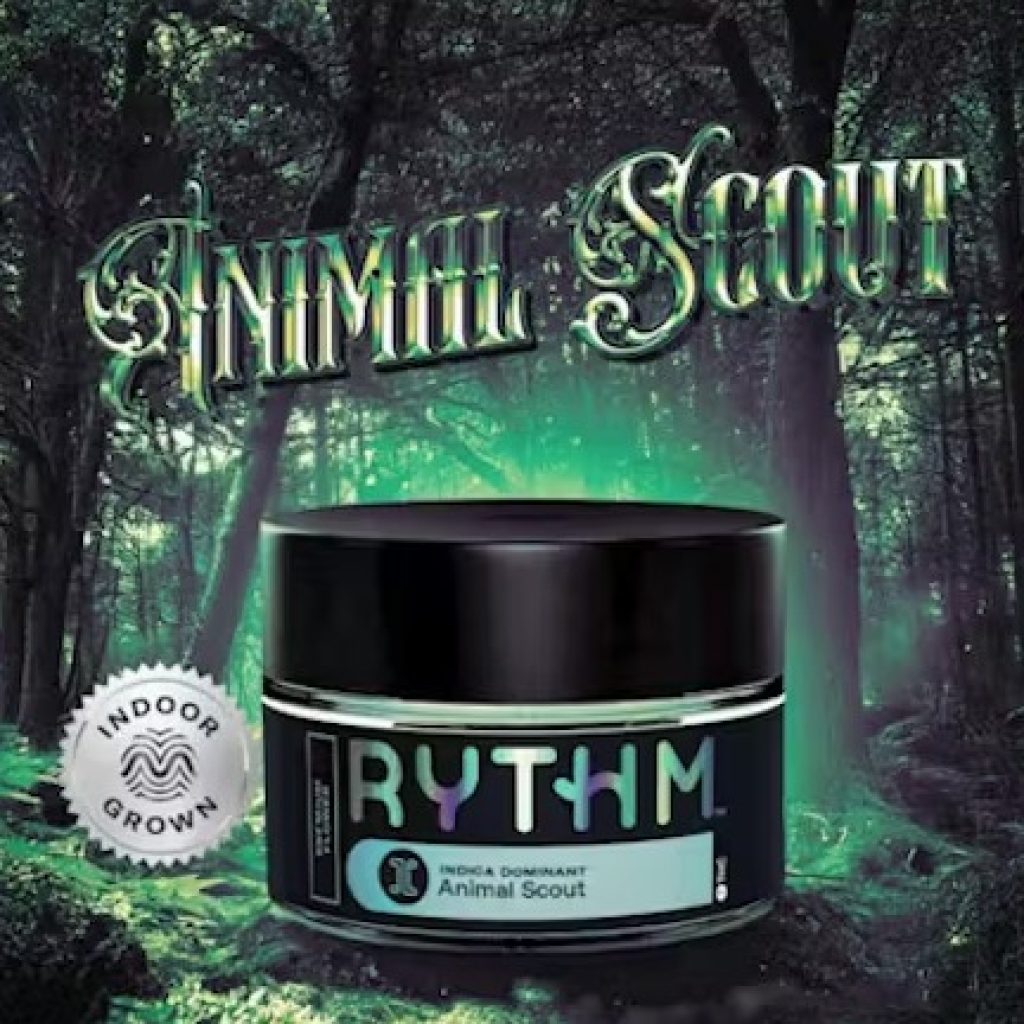 Discover Top Cannabis Edibles in Rockaway — Quality & Variety