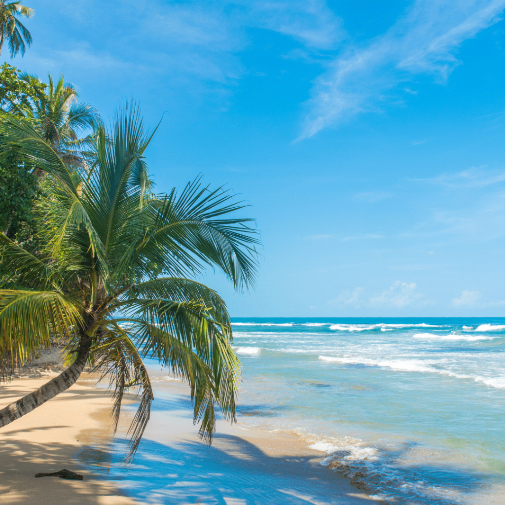 Global Property Prospects: Find Trusted Buyers for Your International Listings Global Property Prospects: Find Trusted Buyers for Your International Listings