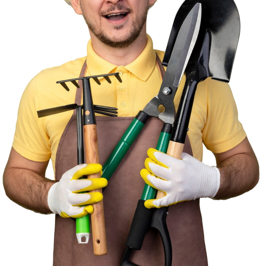 Protect Your Home: Expert Roof Cleaning in Regina