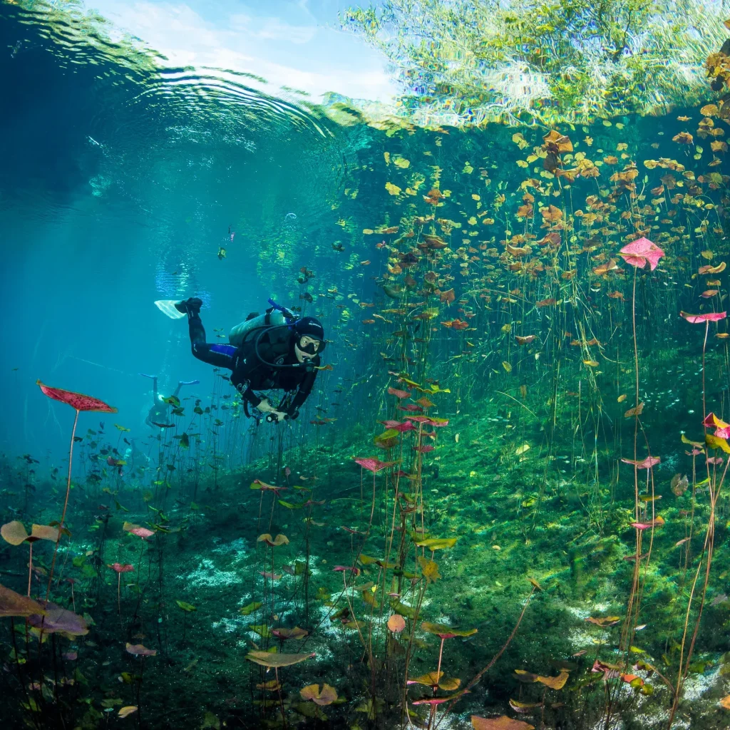 Discover Tulum’s Premier Underwater Experiences