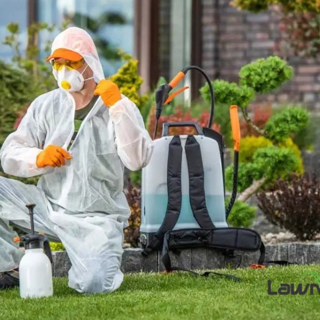 Professional Lawn Mowing Larchmont in minutes