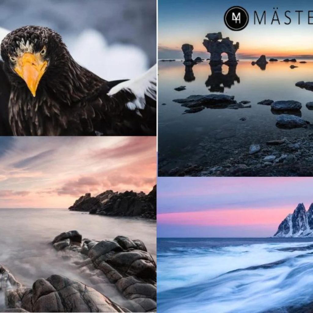 Skapa oförglömliga bilder på en inspirerande fotosafär Skapa oförglömliga bilder på en inspirerande fotosafär