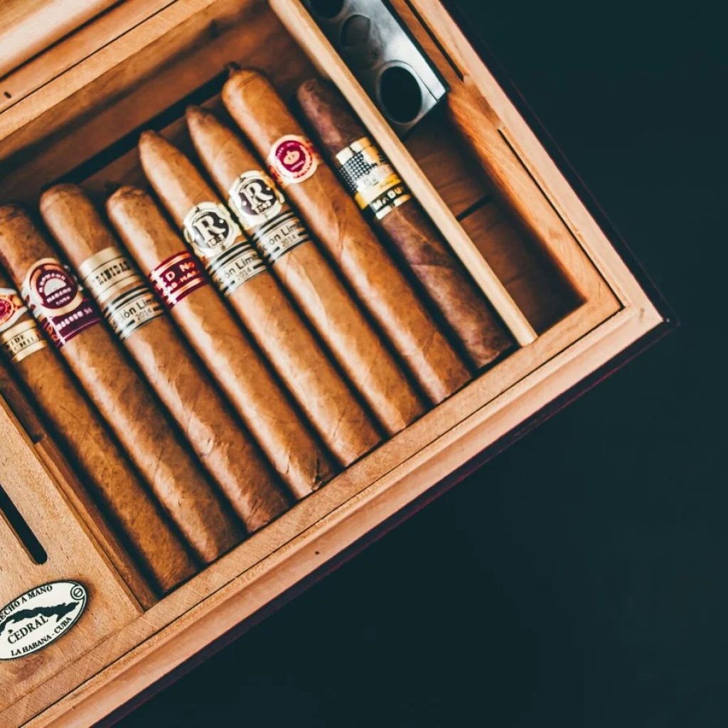 Elevated Dominican Cigars for Connoisseurs