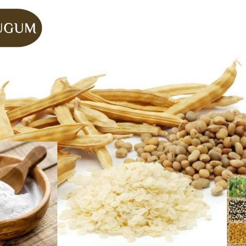 Buy Xanthan Gum Powder – Trusted UK Supplier
