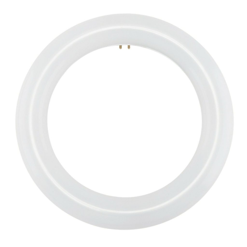 Brighten Up with Circline T9 LED Bulbs – Limited-Time Offers