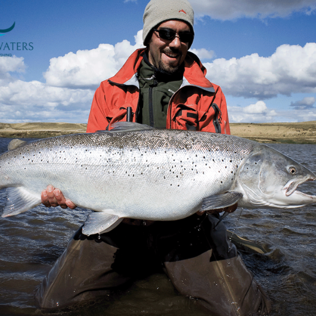 Chasing Sea Trout on Argentine Rivers: A Premier Fly Fishing Experience