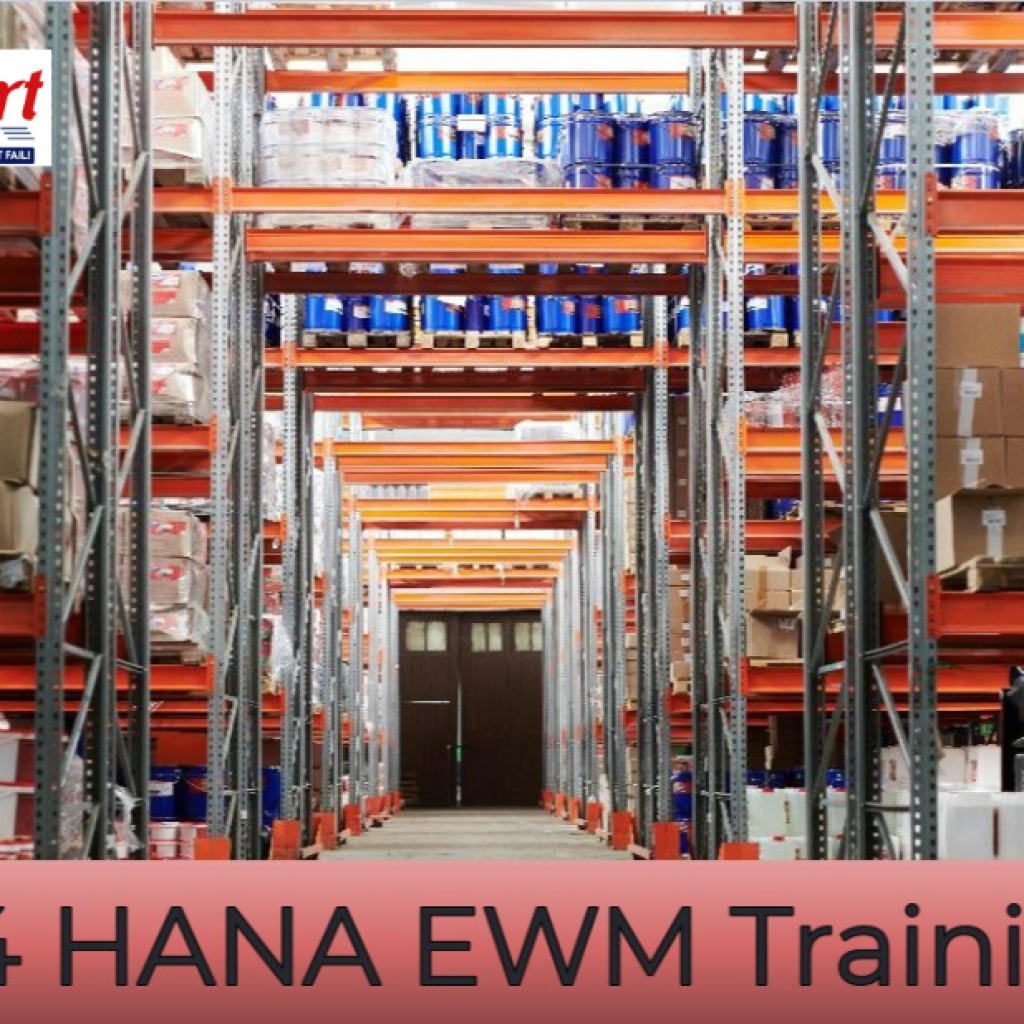 Master SAP SCM: Elevate Your Supply Chain Career
